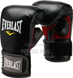 Multi-Color Everlast Boxing Gloves