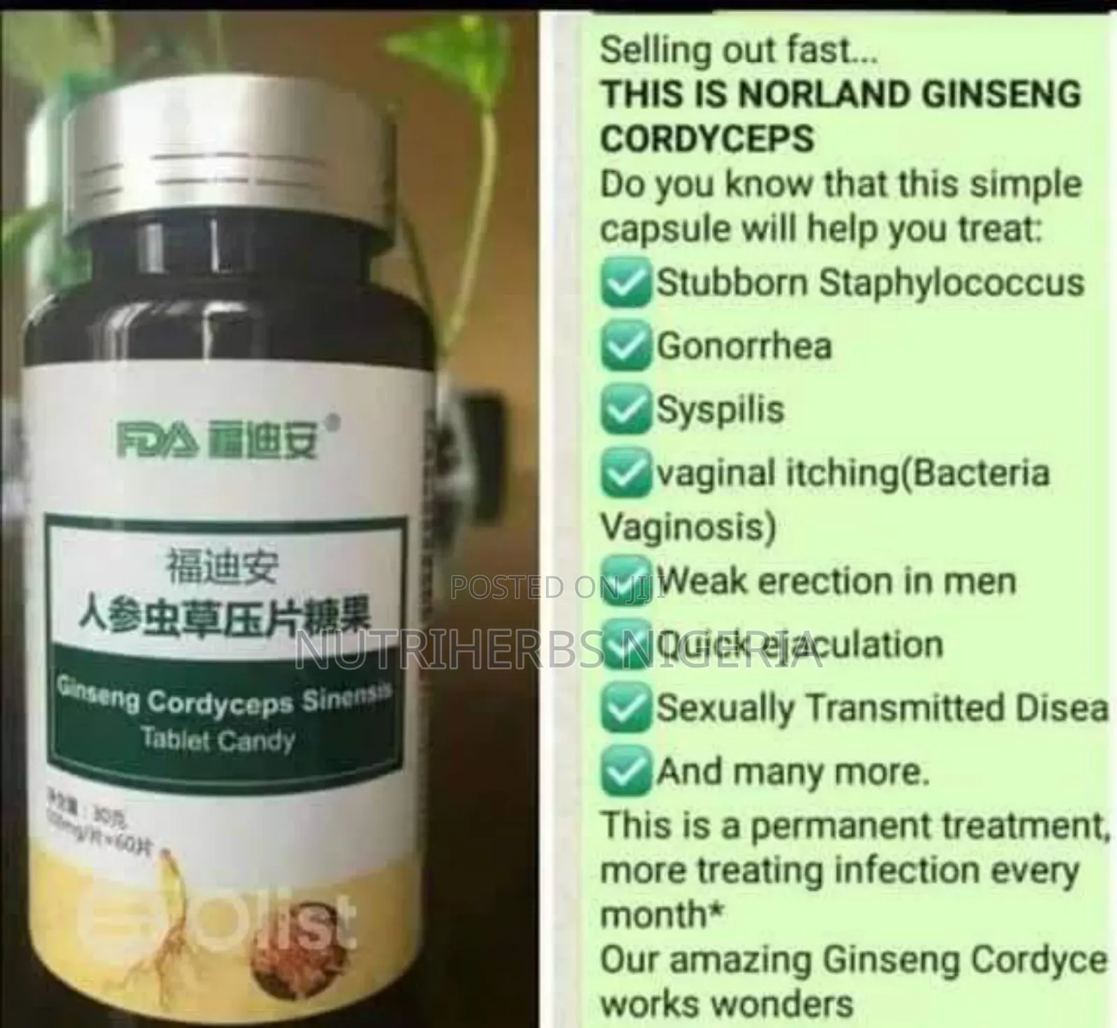 Norland Ginseng Cordyceps:Treatment for Erectile Dysfunction