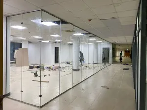 Tempered Glass Partition Door