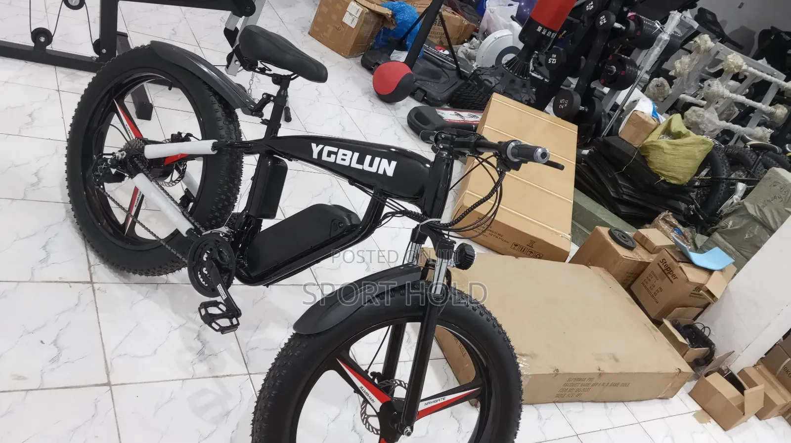E- Bike or Electric Bicycle