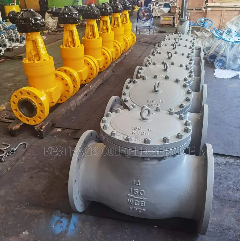 Check Valve