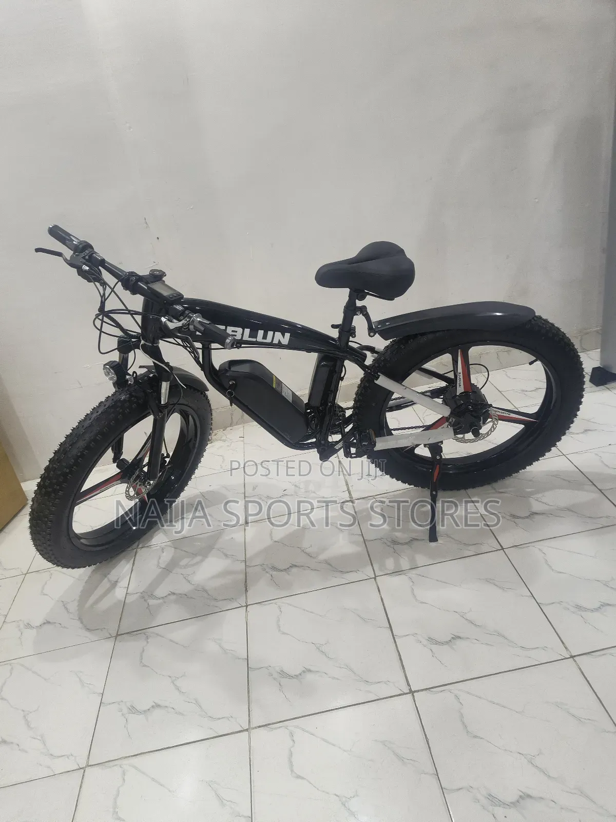 Electric Bike