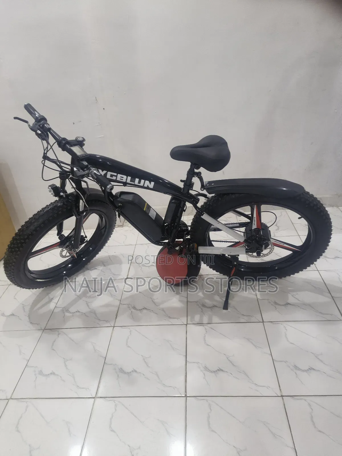 Electric Bike