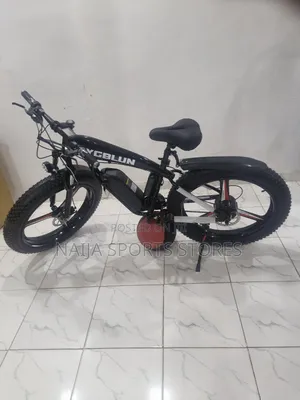 Electric Bike