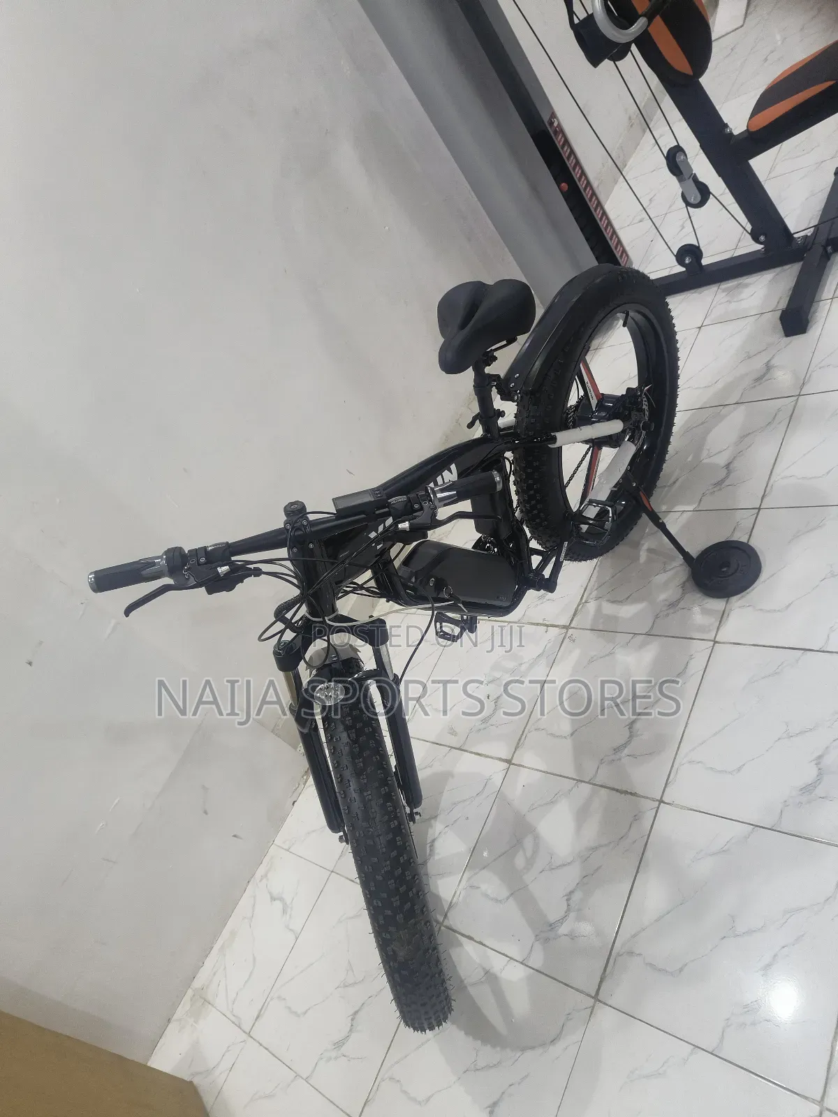 Advanced Electric Bike