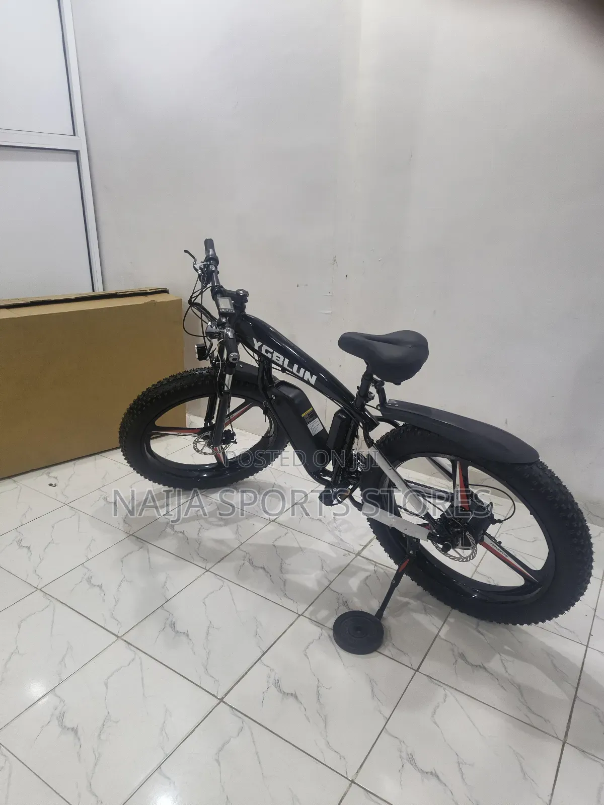 Advanced Electric Bike