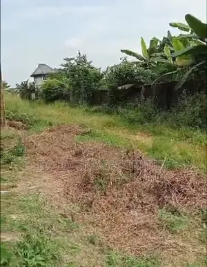 Two Plots Of Land For Sale