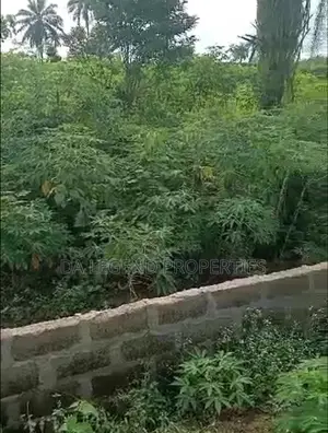 One Plot of Land for Sale