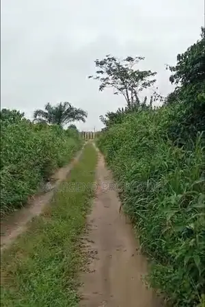 One Plot of Land for Sale