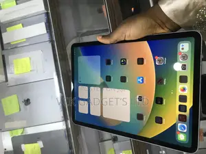 Apple iPad Pro 11 (2022) 256 GB Gray