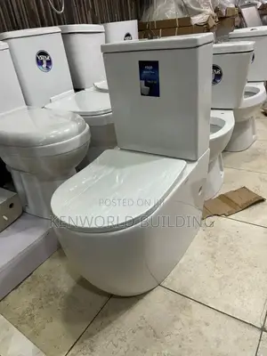 Dual Flush Executive Water Closet