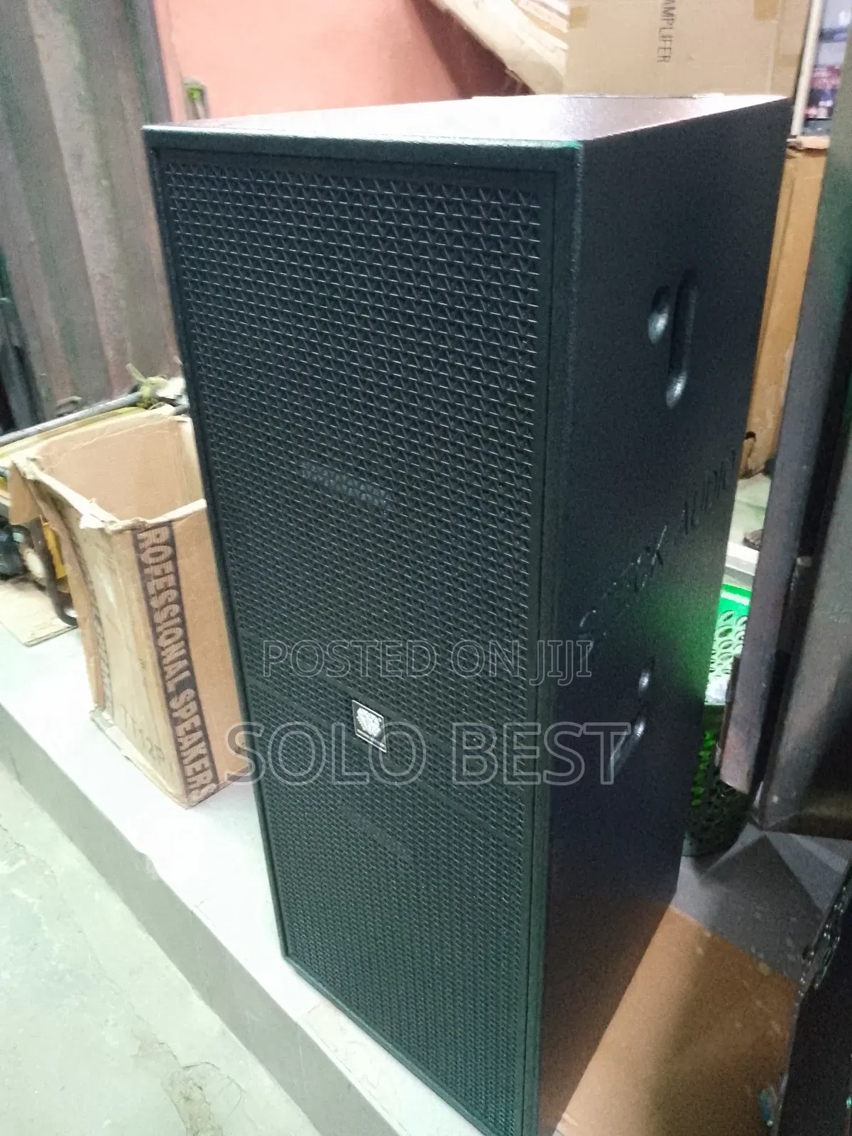 Steck Audio Model 215 Double Speaker