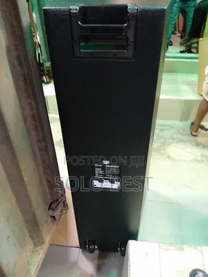 Steck Audio Model 215 Double Speaker