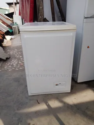 Chest Freezer for Block or Home Use