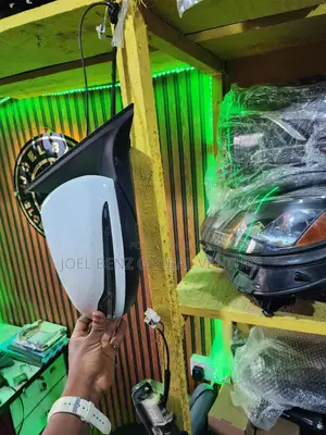 C300 2017 Right Side Mirror