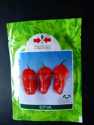 Hot Pepper Seeds Rodo Efia 5g