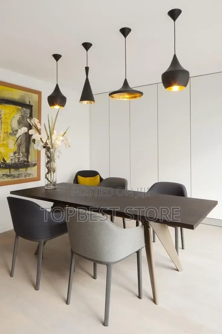 Luxury Homes Single Dropping Pendant Light