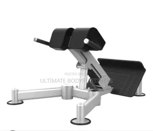 Brand New U2045 Back Extension/Hyper Extension (DHZ Brand)