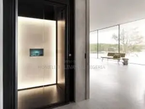 Domestic Platform Lifts for Homes