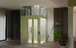 Domestic Elevators for Family