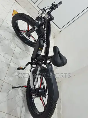 Ycblun Electric Rechargeable Battery Bicycle