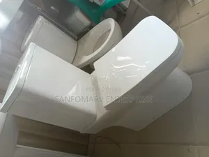 Paris Rimfree Water Closet