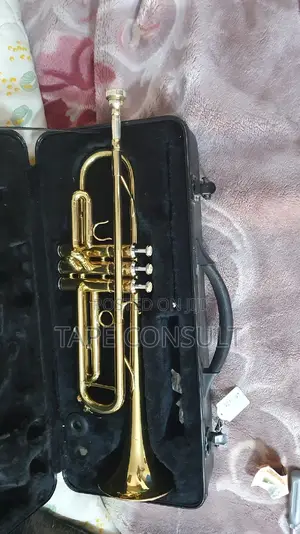 Photo - Professional Trumpet Gold
