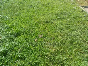 3200 SQM Commercial Land