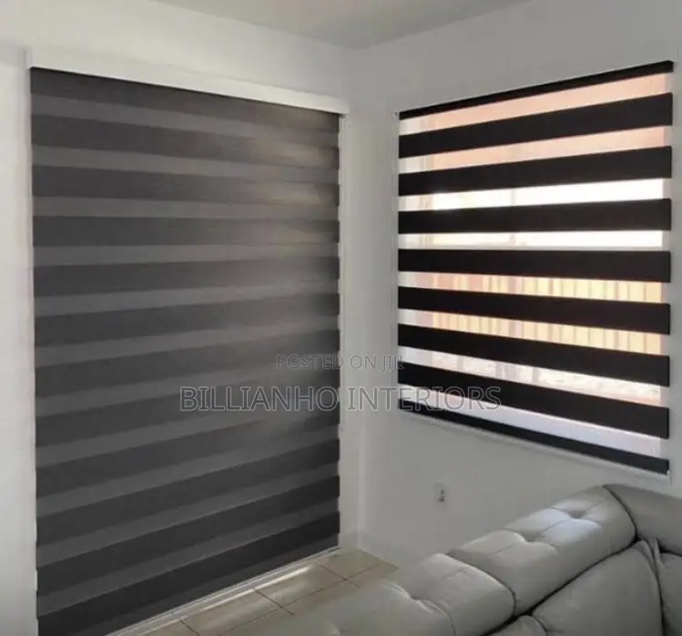 Day Night Window Blinds