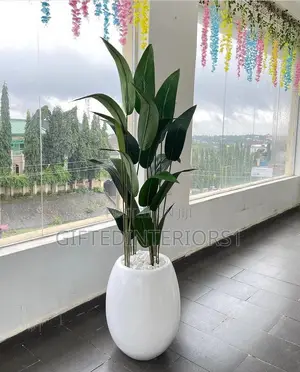 Flowers With Pot Available