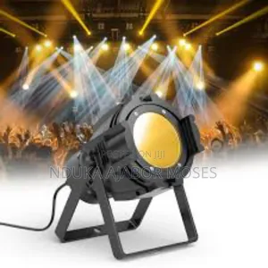 Professional Lighting Services
