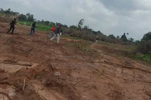 Photo - C of O Lands in Igue Uwangue Off Aduwawa Bypass, Benin City
