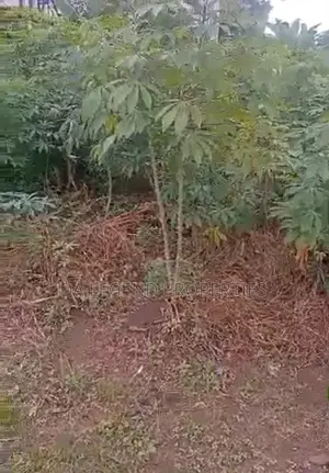 One Full Plot of Land for Sale