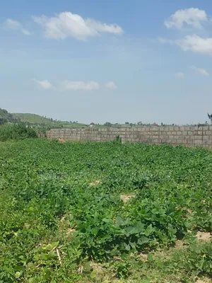 For Sale :Sweet One and Half Plot at Alun