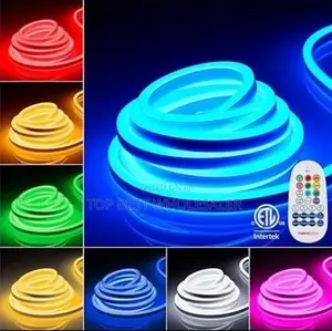 Multiple Color Neon Rope Light 50meter