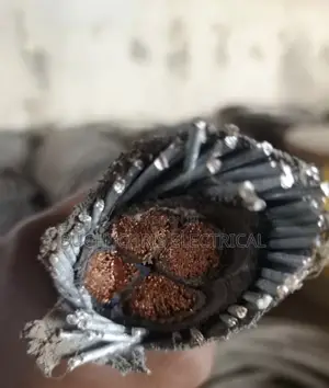 50mmx4core Armored Flexible