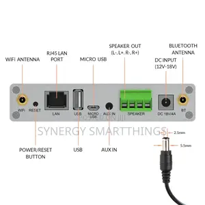 Arylic A30+ Wifi Bluetooth 5.0 Mini Stereo Amp