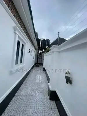 Professional House Painter Screeder Etc