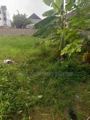 A Full Plot of Land for Sale