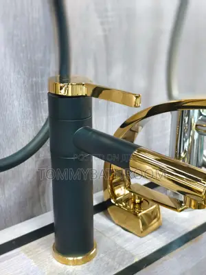 Black and Gold Basin Mixer