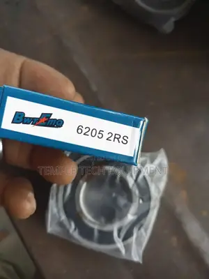 6205 2RS Bearing