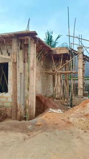 House Roofing Contractor