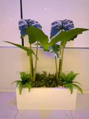 Artificial Plant Potted With Trough Fiberglass Pot/Planter