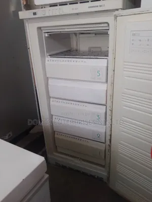 Standing Freezer for Block or Home Use
