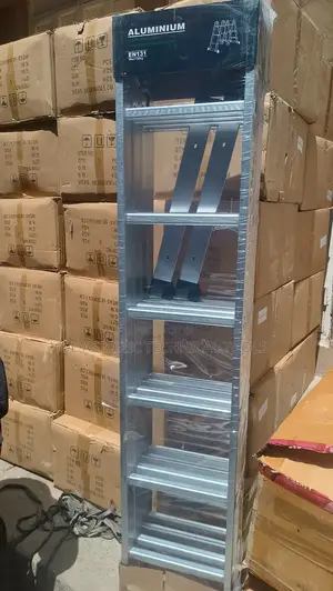 24 Ft Ladder