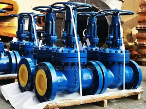 Gate Valve