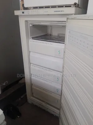 Standing Freezer for Block or Home Use