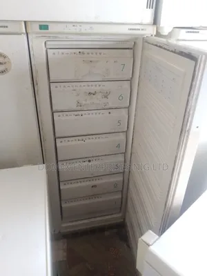 Standing Freezer for Block or Home Use