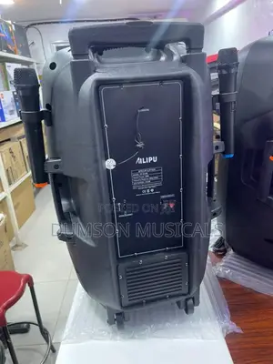 Ailipu Pa System With Two Wireless Mics 15 Inches Big Magnet