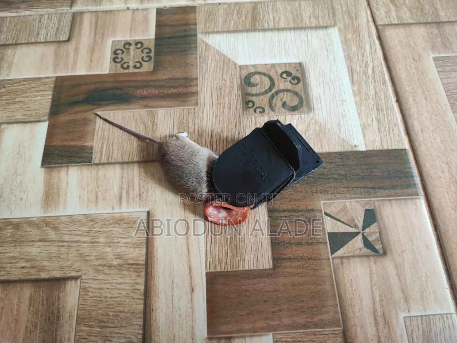 Best Quality Rat Trap